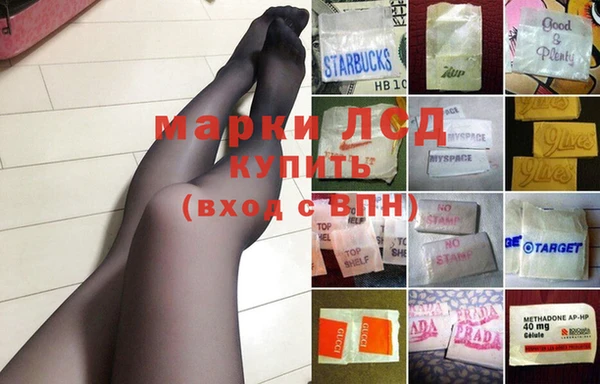 гидра Гусев